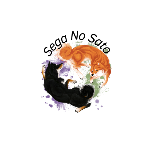 logo2